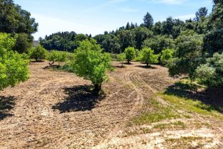 Single Family Residence,  Laguna road, Santa Rosa, CA 95401 - 79