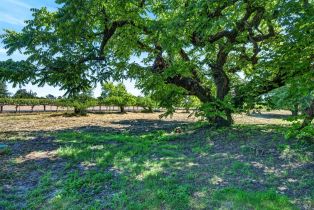 Single Family Residence,  Laguna road, Santa Rosa, CA 95401 - 49