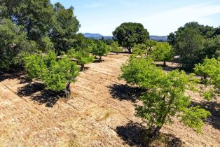 Single Family Residence,  Laguna road, Santa Rosa, CA 95401 - 77