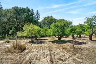 Single Family Residence,  Laguna road, Santa Rosa, CA 95401 - 78