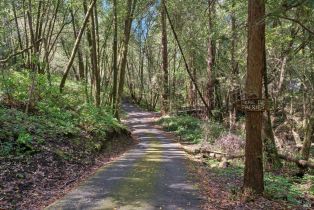 Single Family Residence,  Graton road, Sebastopol, CA 95472 - 8