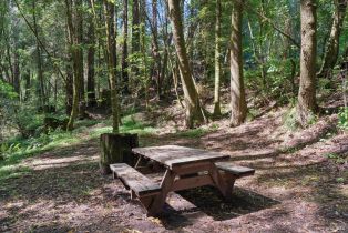 Single Family Residence,  Graton road, Sebastopol, CA 95472 - 11