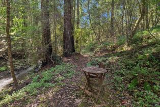Single Family Residence,  Graton road, Sebastopol, CA 95472 - 63