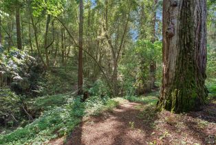 Single Family Residence,  Graton road, Sebastopol, CA 95472 - 62