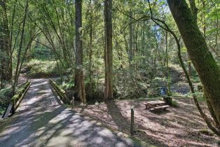 Single Family Residence,  Graton road, Sebastopol, CA 95472 - 12