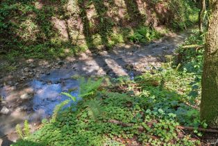 Single Family Residence,  Graton road, Sebastopol, CA 95472 - 9