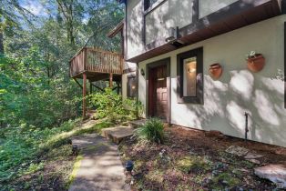 Single Family Residence,  Graton road, Sebastopol, CA 95472 - 61