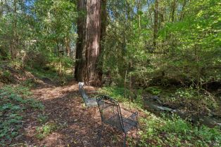 Single Family Residence,  Graton road, Sebastopol, CA 95472 - 65