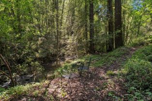 Single Family Residence,  Graton road, Sebastopol, CA 95472 - 64