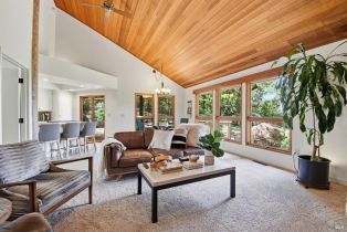 Single Family Residence,  Woodcliff court, Santa Rosa, CA 95405 - 12