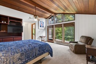 Single Family Residence,  Mill Creek lane, Healdsburg, CA 95448 - 34