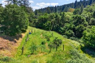 Single Family Residence,  Mill Creek lane, Healdsburg, CA 95448 - 40