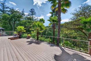 Single Family Residence,  Mill Creek lane, Healdsburg, CA 95448 - 2