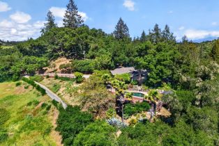 Single Family Residence,  Mill Creek lane, Healdsburg, CA 95448 - 47