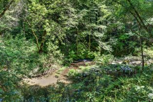 Single Family Residence,  Mill Creek lane, Healdsburg, CA 95448 - 49