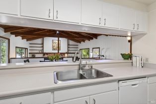 Single Family Residence,  Mill Creek lane, Healdsburg, CA 95448 - 21