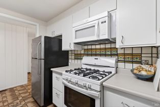 Single Family Residence,  Mill Creek lane, Healdsburg, CA 95448 - 20