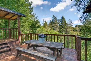 Single Family Residence,  Mill Creek lane, Healdsburg, CA 95448 - 9