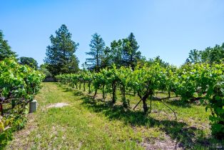 Single Family Residence,  Oak Meadow drive, Santa Rosa, CA 95401 - 4