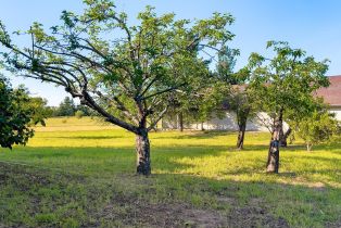 Single Family Residence,  Oak Meadow drive, Santa Rosa, CA 95401 - 54
