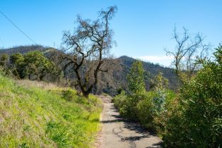 Residential Acreage,  Los Alamos road, Santa Rosa, CA 95409 - 16