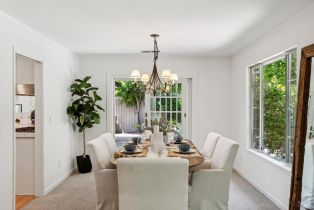 Single Family Residence,  Don Timoteo court, Sonoma, CA 95476 - 19
