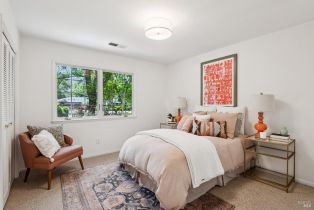 Single Family Residence,  Don Timoteo court, Sonoma, CA 95476 - 40