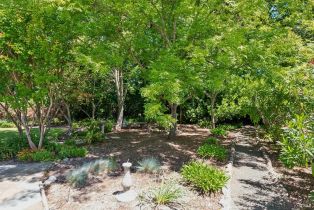 Single Family Residence,  Don Timoteo court, Sonoma, CA 95476 - 54