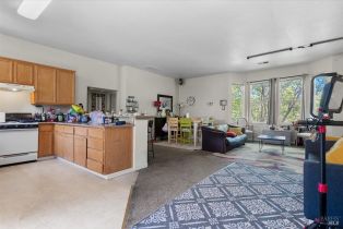 Residential Income, Arthur Ashe circle, Santa Rosa, CA 95407 - 38
