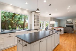 Single Family Residence,  Jessie court, Windsor, CA 95492 - 31