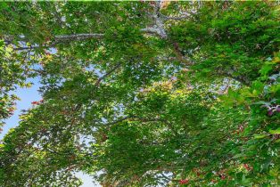 Single Family Residence,  Belhaven circle, Santa Rosa, CA 95409 - 30