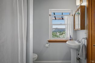 Single Family Residence, Bohan Dillon road, Russian River, CA 95421 - 16