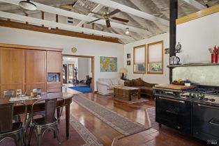 Single Family Residence, Bohan Dillon road, Russian River, CA 95421 - 10