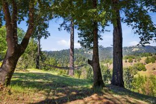 Single Family Residence, Bohan Dillon road, Russian River, CA 95421 - 20