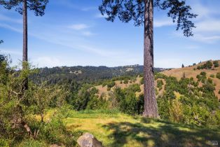 Single Family Residence, Bohan Dillon road, Russian River, CA 95421 - 23