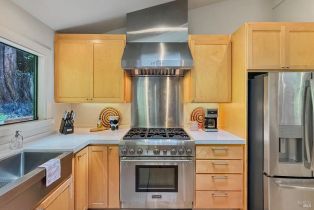 Single Family Residence,  Cherry street, Russian River, CA 95446 - 31