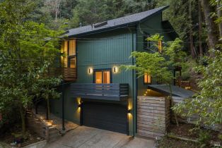 Single Family Residence,  Cherry street, Russian River, CA 95446 - 78