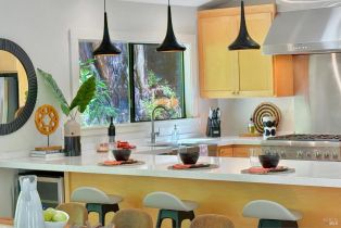 Single Family Residence,  Cherry street, Russian River, CA 95446 - 33