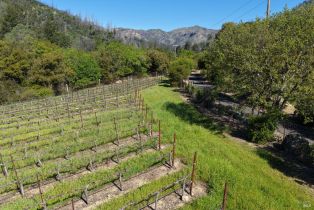 Agriculture,  Dutch Henry Canyon road, Calistoga, CA 94515 - 9