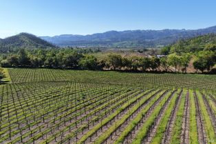 Agriculture,  Dutch Henry Canyon road, Calistoga, CA 94515 - 7