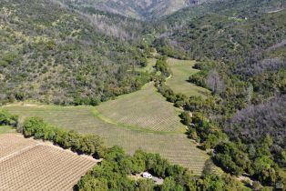 Agriculture,  Dutch Henry Canyon road, Calistoga, CA 94515 - 3
