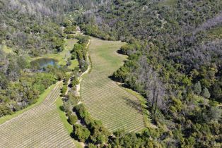 Agriculture,  Dutch Henry Canyon road, Calistoga, CA 94515 - 10