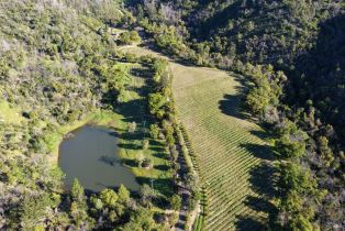 Agriculture,  Dutch Henry Canyon road, Calistoga, CA 94515 - 4