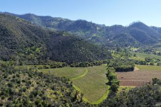 Agriculture,  Dutch Henry Canyon road, Calistoga, CA 94515 - 5