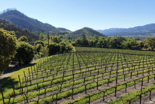 Agriculture,  Dutch Henry Canyon road, Calistoga, CA 94515 - 11