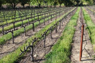 Agriculture,  Dutch Henry Canyon road, Calistoga, CA 94515 - 8