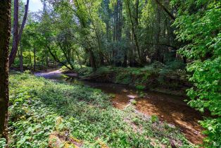 Single Family Residence,  Mill Creek road, Healdsburg, CA 95448 - 8