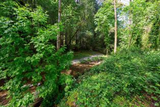 Single Family Residence,  Mill Creek road, Healdsburg, CA 95448 - 33