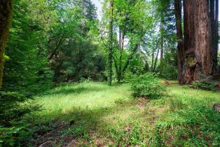 Single Family Residence,  Mill Creek road, Healdsburg, CA 95448 - 35