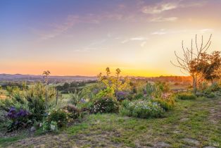 Single Family Residence,  Frances way, Petaluma, CA 94954 - 46